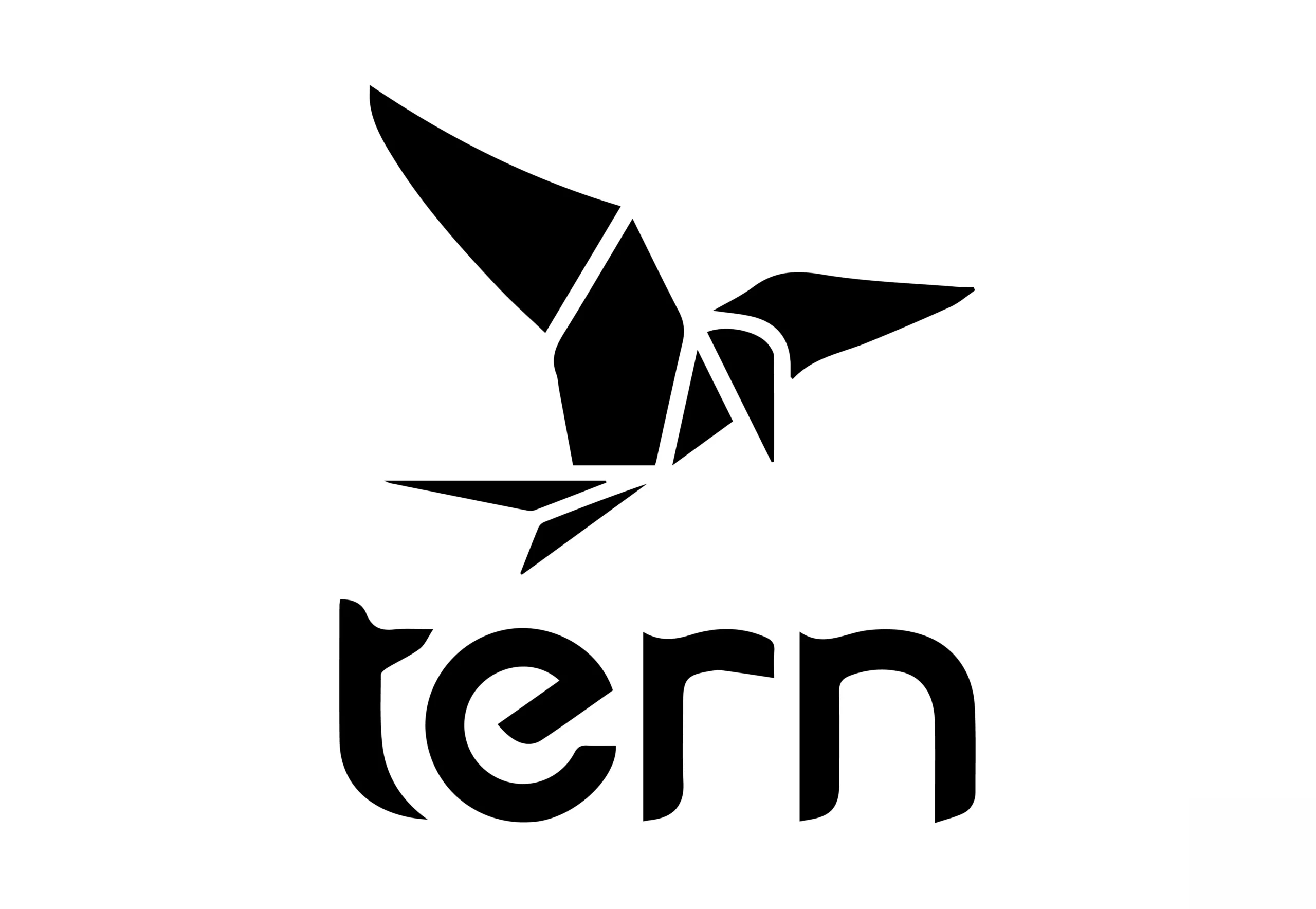 tern logo